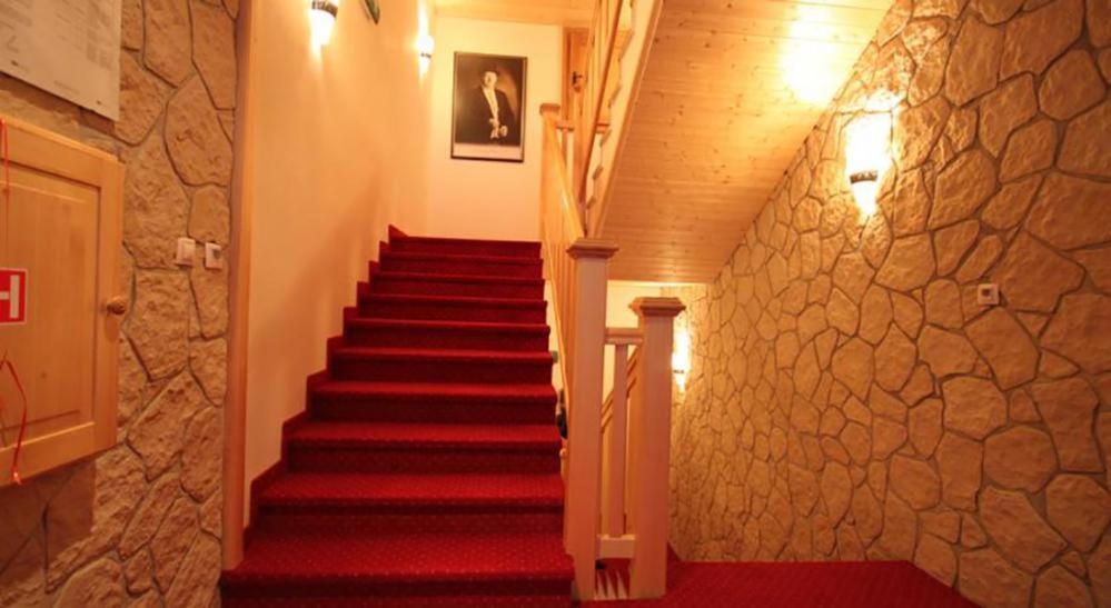 Horsky Hotel Vidly Karlova Studanka Bagian luar foto