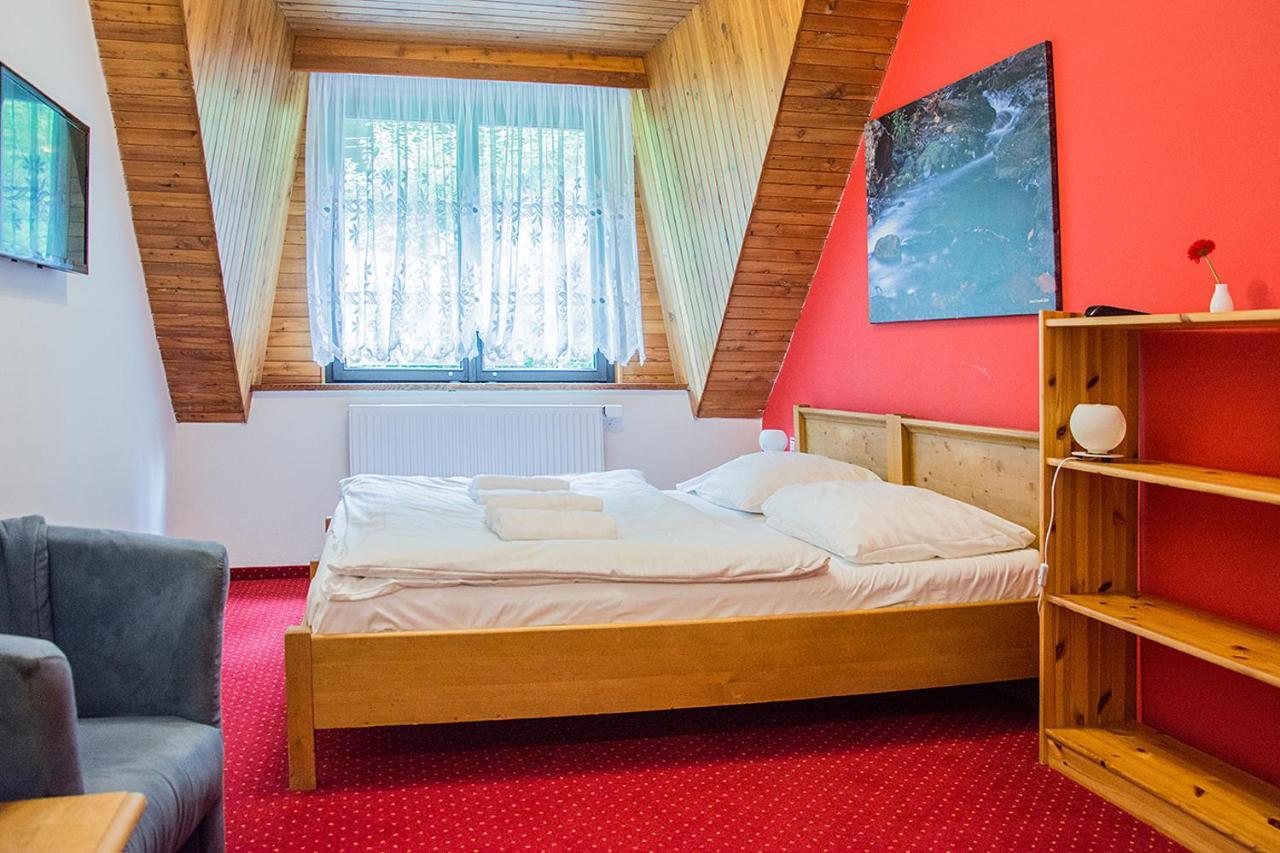 Horsky Hotel Vidly Karlova Studanka Bagian luar foto