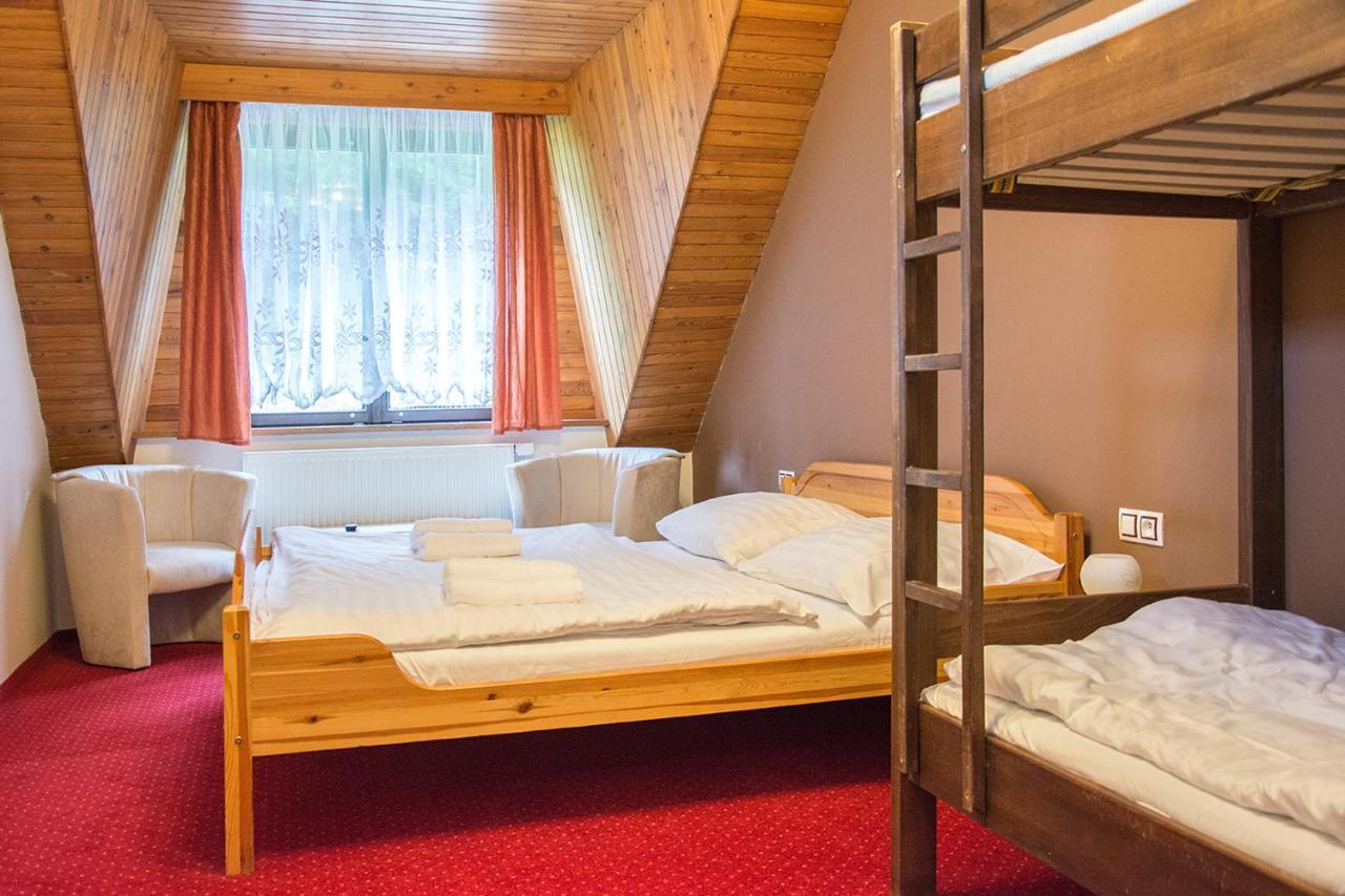 Horsky Hotel Vidly Karlova Studanka Bagian luar foto